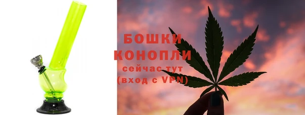 PSILOCYBIN Нея