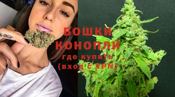 крисы Наволоки