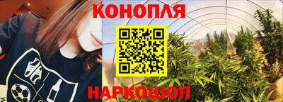 мяу мяу мука Абакан
