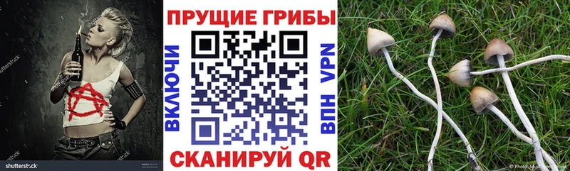 ссылка на мегу ссылки  Надым  Псилоцибиновые грибы ЛСД 