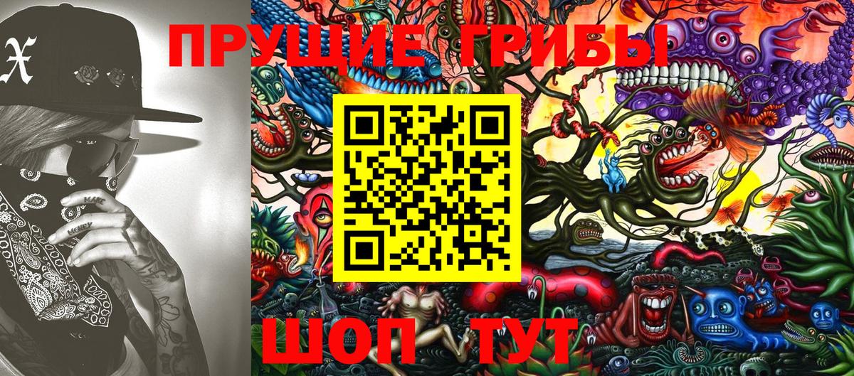 Надым  Галлюциногенные грибы Psilocybine cubensis  Вход с VPN 