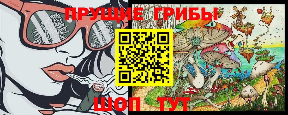 Галлюциногенные грибы Psilocybe Надым