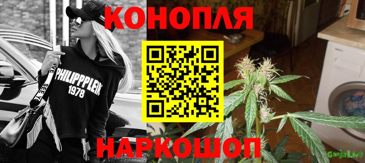 Бошки Шишки White Widow Надым